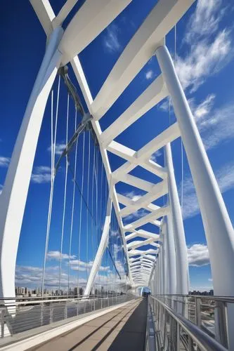 cable-stayed bridge,ravenel bridge,skybridge,ravenel,anzac bridge,standbridge,guideways,centerbridge,colorado riverway bridge,guideway,aerobridges,passerelle,footbridges,puente,brug,puentes,danube bridge,lapuente,bridge new europe,hohenzollern bridge,Illustration,Japanese style,Japanese Style 16