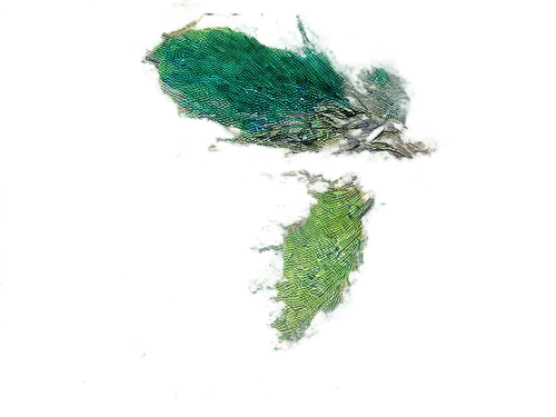 satellite image,landsat,atoll from above,pulau,artificial islands,coiba,relief map,green island,satellite imagery,koneswaram,roatan,kei islands,krakatau,langkawi,islet,an island far away landscape,jeju,digitalglobe,phangnga,island of fyn,Conceptual Art,Sci-Fi,Sci-Fi 06