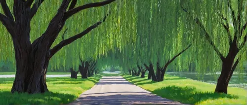 Compose a persuasive speech advocating for the preservation of willow trees.,weeping willow,tree lined path,tree-lined avenue,tree lined lane,tree lined,row of trees,green landscape,bamboo forest,gree