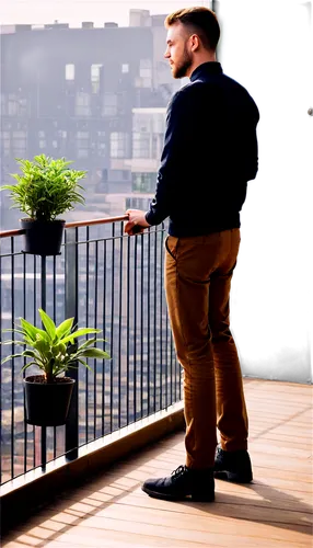 balcony plants,balcony garden,roof garden,block balcony,potted plants,background bokeh,highline,landscaper,plantsman,balcony,roof terrace,photo shoot with edit,paris balcony,plantlife,plants,boxwoods,greenscreen,landscapist,bokeh effect,greenfingers,Illustration,American Style,American Style 12