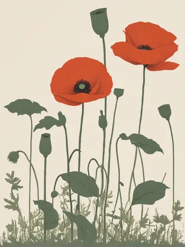 poppy flowers,red poppy,red poppy on railway,papaver,poppies,poppy family,red poppies,coquelicot,floral poppy,poppy plant,remembrance day,opium poppies,a couple of poppy flowers,poppies in the field drain,opium poppy,poppy fields,poppy field,klatschmohn,tree poppy,poppy flower,Illustration,Japanese style,Japanese Style 08