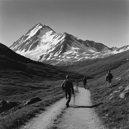 Craft a chilling story about a group of hikers encountering a skin walker in a remote mountain range.,ortler,elbrus,pamir,alpine route,monte-rosa-group,mountaineers,fagaras,the pamir mountains,weissho