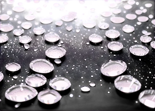 waterdrops,water droplets,rain droplets,droplets,droplets of water,rainwater drops,rain drops,water drops,drops of water,drops,dewdrops,raindrops,raindrop,dew droplets,drops on the glass,drop of rain,dew drops,hydrophobic,hydrophobicity,superhydrophobic,Photography,Black and white photography,Black and White Photography 04