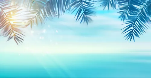 summer background,sunburst background,ocean background,palm tree vector,coconut trees,palmtree,tropical sea,palm forest,coconut tree,tropical beach,palmtrees,palm tree,coconut palms,palm,palms,beach b