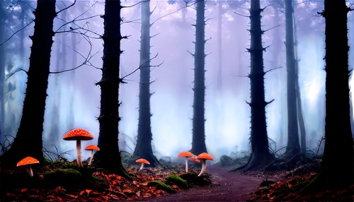 mushroom landscape,fairy forest,forest mushrooms,fairytale forest,enchanted forest,forest of dreams,cartoon forest,foggy forest,forest background,germany forest,forest mushroom,forest floor,forest landscape,elven forest,autumn forest,world digital painting,mushrooms,forest path,forest walk,toadstools,Photography,Artistic Photography,Artistic Photography 05