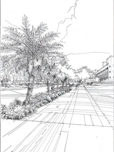 mono-line line art,street plan,bicycle path,bicycle lane,line drawing,mono line art,coloring page,roadway,bike path,lane delimitation,pencil lines,arrow line art,coloring pages,landscape plan,line-art