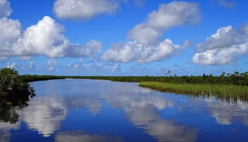 Everglades NPS // Public Domain, Wikimedia Commons,everglades np,st johns river,everglades,bayou la batre,eastern mangroves,freshwater marsh,tidal marsh,palmetto coasts,alligator alley,backwaters,salt