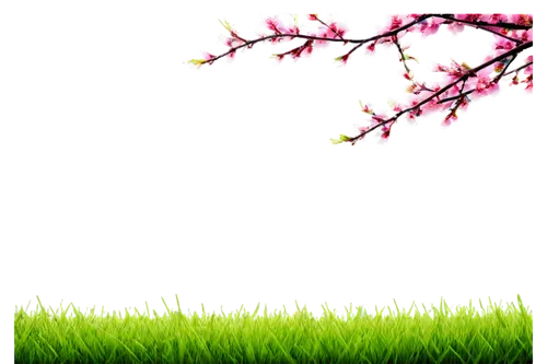 spring leaf background,spring background,springtime background,cherry branches,cherry blossom branch,flower background,easter background,cherry tree,grass blossom,japanese sakura background,nature background,cherry blossom tree,blossoming apple tree,japanese carnation cherry,plum tree,sakura cherry tree,plum blossom,ornamental cherry,cherry trees,sakura background,Conceptual Art,Fantasy,Fantasy 16