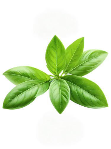 spring leaf background,stevia,leaf background,aromatic plant,green leaf,green wallpaper,green plant,naturopathy,green background,green leaves,resprout,growth icon,naturopathic,phytotherapy,chlorotic,mint leaf,nature background,narrowleaf,leaf green,patrol,Art,Artistic Painting,Artistic Painting 33