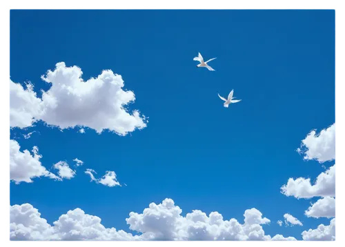 bird in the sky,blue sky clouds,blue sky and white clouds,skydrive,blue sky and clouds,birds flying,sky,skywards,flying birds,bluesky,birds in flight,sky clouds,flying sea gulls,clouds - sky,skyscape,blue sky,summer sky,doves of peace,cloud image,sky butterfly,Illustration,Black and White,Black and White 08