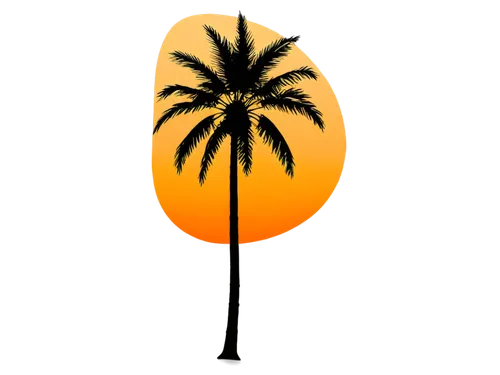 Palm tree, solo, tall, slender trunk, green leaves, curved branches, sunset background, orange-yellow sky, warm light, long shadows, 3/4 composition, shallow depth of field, soft focus, cinematic ligh