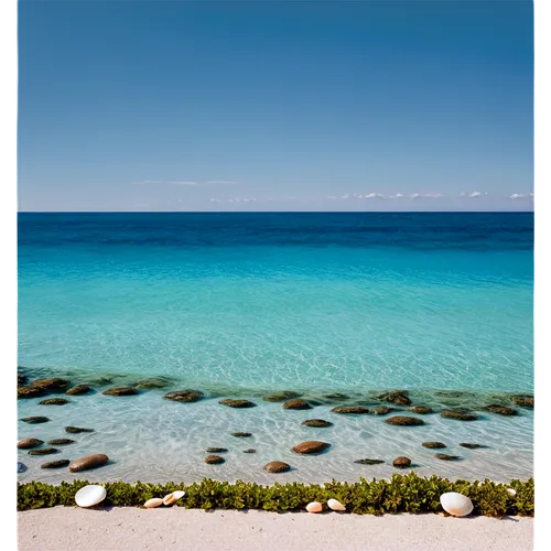 formentera,sardegna,sardinia,ionian sea,caribbean sea,providenciales,cayo largo island,rottnest island,cephalonia,curacao,abrolhos,chalkidiki,salento,cayo largo,balearic islands,bahamian,puglia,cayard,bonaire,ningaloo,Photography,Documentary Photography,Documentary Photography 04