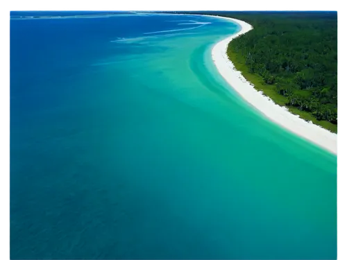 fraser island,heron island,aerial view of beach,great barrier reef,cayo coco,brazilian beach,natuna indonesia,andaman sea,varadero,cayo largo island,cayo largo,white sand beach,atoll from above,indian ocean,emerald sea,cayo,white sandy beach,michigan,the indian ocean,great lakes,Illustration,Paper based,Paper Based 08