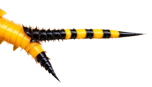 centipede,ovipositor,millipede,fire salamander,yellow dragonfly,caterpillar,polychaete,thermometric,garbarnia,wurm,swallowtail caterpillar,oak sawfly larva,wasp spider,sawfly,palila,centipedes,kusarigama,pseudagrion,millipedes,earwig,Art,Classical Oil Painting,Classical Oil Painting 24
