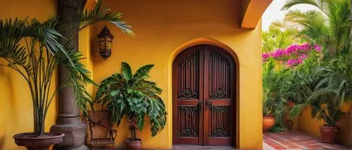 garden door,front door,palmilla,entryway,doorway,doorways,patio,patios,entranceway,tlaquepaque,hacienda,church door,entryways,house entrance,puertas,doorstep,main door,barretos,nicaraguan cordoba,santa barbara,Illustration,Vector,Vector 02