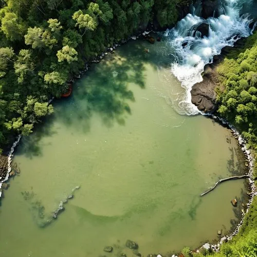 eutrophication,green water,green waterfall,green trees with water,iguazu,dujiangyan,the source of the danube,effluent,thermal spring,cherrapunji,whirlpools,a river,rhine falls,furnas,jiangyan,flowing water,greenwater,river landscape,jezero,plitvice