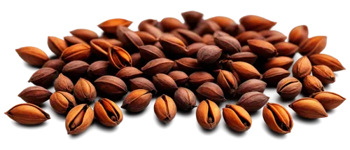 cocoa beans,dried cloves,flaxseed,coffee beans,cloves,coffee background,coffee seeds,seeds,roasted coffee beans,flax seed,robusta,java beans,callebaut,seed,pine nuts,peaberry,almonds,almond nuts,pecan,arabica,Illustration,Paper based,Paper Based 19