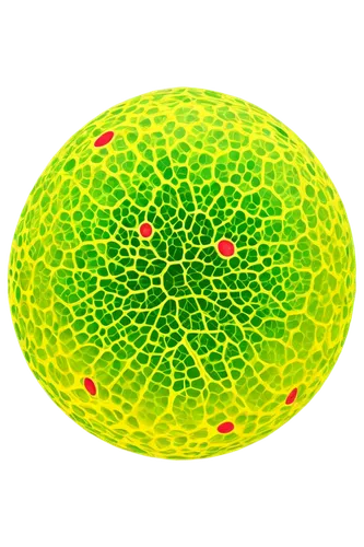 nucleocapsid,stomata,ovule,vesicle,cell structure,vacuolar,nucleolus,chloropaschia,vacuole,spheroids,organelle,nucleolar,fibrillar,subcellular,microvilli,chloroplasts,vesicles,t-helper cell,cytoskeletal,spherules,Art,Artistic Painting,Artistic Painting 04