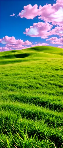 Free stock photo, high-resolution, natural scenery, rolling hills, green grass, fluffy white clouds, blue sky, warm sunlight, 3/4 composition, shallow depth of field, cinematic lighting, vibrant color