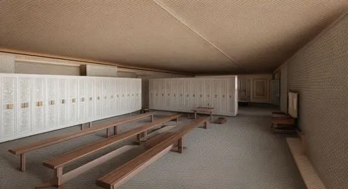 japanese-style room,school design,school benches,capsule hotel,dugout,japanese architecture,shinto shrine,lecture hall,lecture room,wooden sauna,japanese shrine,ryokan,hanok,tatami,locker,kumano kodo,school desk,archidaily,hallway space,compartments,Common,Common,Natural