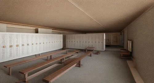 locket room,japanese-style room,school design,school benches,capsule hotel,dugout,japanese architecture,shinto shrine,lecture hall,lecture room,wooden sauna,japanese shrine,ryokan,hanok,tatami,locker,