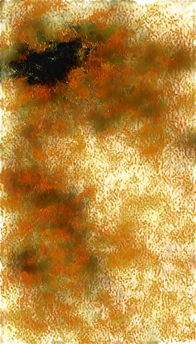 watercolour texture,finch in liquid amber,brightened,filtered image,planet alien sky,on the water surface,water surface,virga,impressionistic,gold paint strokes,undulatus,birds abstract,cloud image,swampy landscape,duck on the water,watercolor texture,feather on water,estuary,orange gull,sfumato,Photography,Black and white photography,Black and White Photography 15