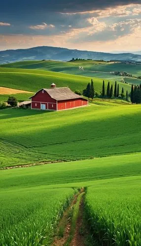 farm landscape,green landscape,farm background,tuscany,rural landscape,vegetables landscape,green fields,meadow landscape,farmland,landscape background,countryside,beautiful landscape,home landscape,tuscan,nature landscape,agricultural,cropland,landscape nature,agriculture,fields,Photography,General,Realistic