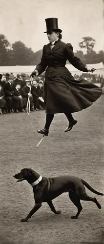 Create a scene of Ruby trotting confidently during a dog show.,schutzhund,flying dogs,dog race,dog racing,flying dog,hare coursing,whippet,polish greyhound,two running dogs,teddy roosevelt terrier,run