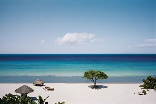 cayo largo island,caribbean sea,cuba beach,the caribbean,caribbean beach,cayo largo,dream beach,caribbean,balearic islands,cayo coco,the balearics,antilles,white sand beach,white sandy beach,andaman sea,curacao,beach landscape,beautiful beaches,bahamas,bonaire,Photography,Documentary Photography,Documentary Photography 15