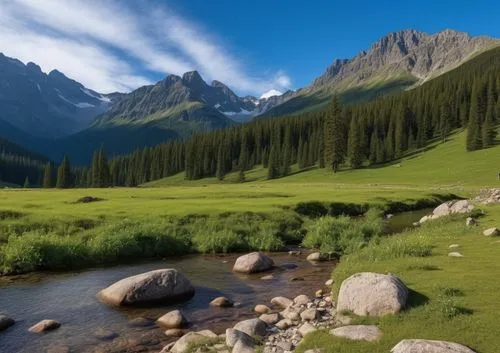 a small river is surrounded by large rocks and grass,salt meadow landscape,mountain meadow,background view nature,mountainous landscape,alpine meadow,mountain pasture,Photography,General,Realistic