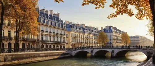 Parisian buildings, historic French Renaissance style, ornate stone carvings, grandiose arches, intricate ironwork balconies, soft cream-colored walls, elegant mansard roofs, chimney pots, charming st