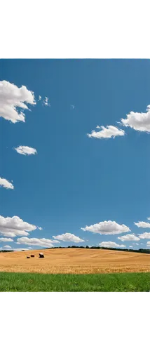 grain field panorama,farm landscape,landscape background,farm background,wheat crops,farmland,rural landscape,panoramic landscape,salt meadow landscape,cropland,grasslands,plains,grain field,alberta,field of cereals,wheat fields,grassland,aroostook county,prairie,steppe,Art,Artistic Painting,Artistic Painting 51