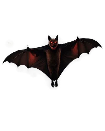 lantern bat,chiroptera,bat,torbat,myotis,bats,bat smiley,dutchbat,hanging bat,derivable,mothman,batjac,halloween background,tropical bat,batagram,batboy,batty,batz,megabat,noctuid,Photography,Black and white photography,Black and White Photography 03