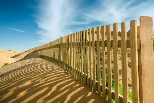 desert sand
,a fenced in sand area with green trees and bushes,wooden fence,wood fence,admer dune,pasture fence,fence,shifting dune,dune landscape,fence posts,moving dunes,the fence,fence element,dune