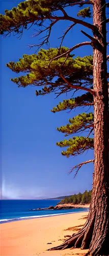 beach landscape,norfolk island pine,pine tree,fraser island,beach scenery,watercolor pine tree,pine trees,narrabeen,beach background,coastal landscape,treeline,lone tree,oscoda,wood and beach,isolated tree,bretagne,pambula,arcachon,kingscliff,greens beach,Conceptual Art,Sci-Fi,Sci-Fi 01