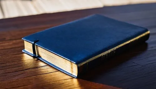 Modern architectural design panel, large format, blue cover book, leather bound, golden font title, lying on a wooden desk, morning light, subtle shadows, high-contrast background, shallow depth of fi