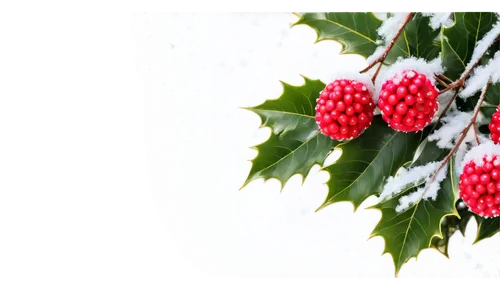 Winter scene, Christmas atmosphere, snowy background, delicate snowflakes, sparkling ice crystals, festive holly leaves, red berries, golden ornaments, soft focus, warm lighting, shallow depth of fiel