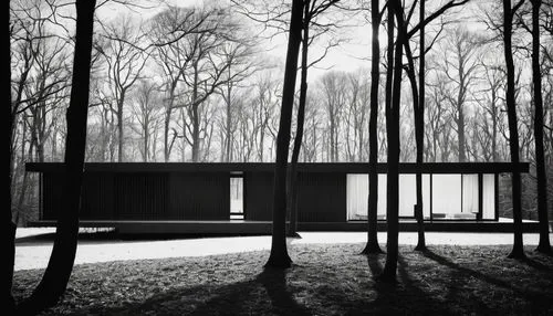 bunshaft,zumthor,mies,breuer,chipperfield,neutra,corbu,glucksman,rietveld,eisenman,mirror house,forest house,dinesen,house in the forest,newhouse,interlochen,midcentury,tugendhat,fallingwater,woodlot,Illustration,Black and White,Black and White 33