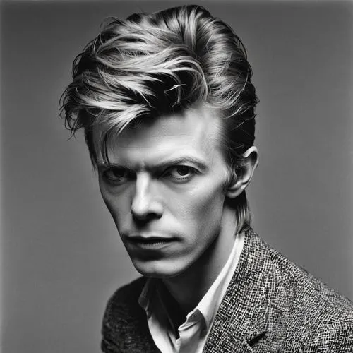 david bowie,lodger,ziggy,sylvian,born 1953-54,60's icon,deacy,bouffant,david,icon,13 august 1961,tobeck,bluesteel,aging icon,portrait,avedon,kapranos,quiff,born in 1941,george,Conceptual Art,Oil color,Oil Color 19