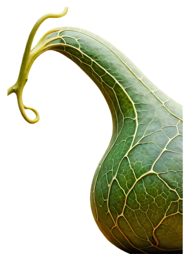 Gourd, ornate, green skin, vines wrapped around, curved shape, detailed texture, soft natural light, 3/4 composition, shallow depth of field, warm color tone, cinematic lighting.,green tree python,mam