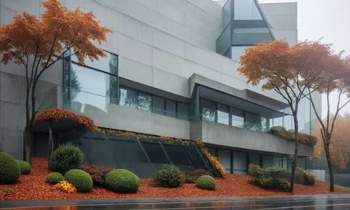 an artistic pograph of an autumn landscape,kaist,phototherapeutics,safdie,quantico,office building,embl,Photography,General,Realistic