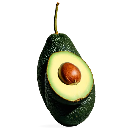 palta,avacado,avocado,avo,avos,avocation,avocat,sliced avocado,avocational,alvorada,avoirdupois,avocados,coccifera,cado,mangifera,seedpod,banani,aguacate,cocos nucifera,cedro,Illustration,Black and White,Black and White 29