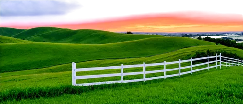 rolling hills,palouse,landscape background,grasslands,green fields,green landscape,hills,ricefield,grassland,ricefields,virtual landscape,sunol,home landscape,farm landscape,rural landscape,the hills,meadow landscape,wheatfield,the rice field,rice fields,Illustration,Black and White,Black and White 21