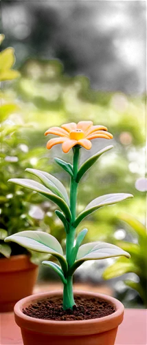 pot marigold,orange lily,terracotta flower pot,orange climbing plant,lilium formosanum,orange marigold,orange flower,citronella,lantern plant,garden marigold,orange daylily,lilium candidum,flower pot holder,lilium davidii,ornamental plant,wooden flower pot,potted plant,marigold flower,lily flower,the garden marigold,Unique,3D,Clay