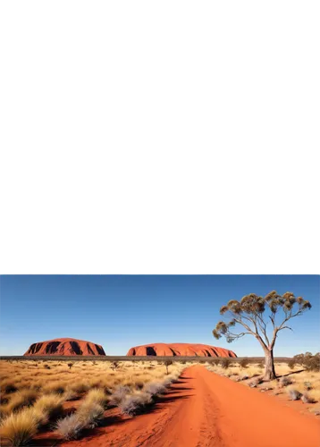 Australian outback landscape, vast desert, endless blue sky, few eucalyptus trees, rocky outcrops, red earth, spinifex grass, solitary kangaroo, distant Uluru rock formation, warm golden light, high c