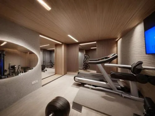 fitness room,fitness center,fitness facility,technogym,precor,modern room,spaceship interior,elitist gym,leisure facility,interior modern design,gymnastics room,workout equipment,great room,interior design,treadmill,bonus room,ellipticals,cabin,gymnase,loft