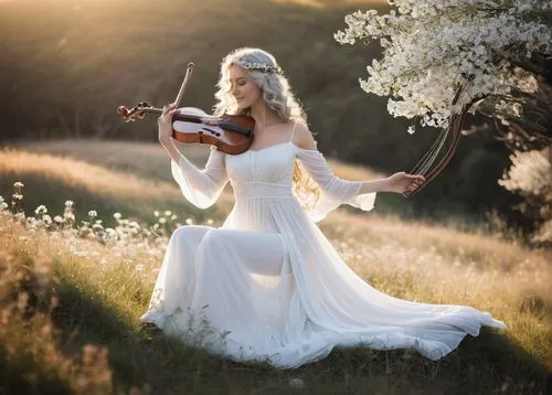 woman playing violin,violin woman,violinist,violin player,celtic woman,violin,harp with flowers,playing the violin,celtic harp,serenade,solo violinist,violinist violinist,violist,concertmaster,stringed instrument,folk music,classical guitar,string instrument,valse music,sound of music,Illustration,Black and White,Black and White 33