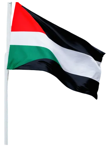 uae flag,flag of uae,united arab emirates flag,uae,united arab emirates,sudan,united arab emirate,pure-blood arab,jordanian,palestine,omani,greed,national flag,abu-dhabi,kuwait,hd flag,national day,oman,six day war,libya,Photography,Black and white photography,Black and White Photography 15