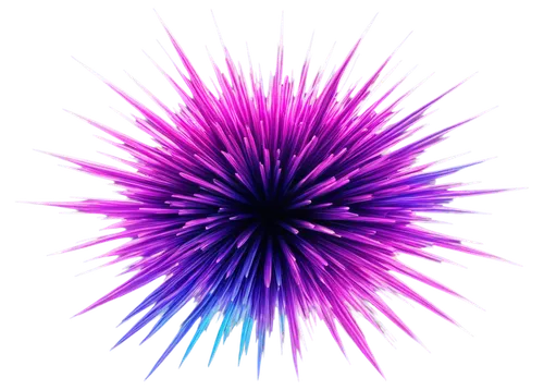 purple salsify,sea-urchin,crown chakra,crown chakra flower,sea urchin,spiny,purple,purple pageantry winds,purple thistle,knapweed,spirography,star anemone,urchin,plasma ball,purpleabstract,gradient mesh,purple chrysanthemum,purple background,tubular anemone,magnetic field,Photography,Fashion Photography,Fashion Photography 05