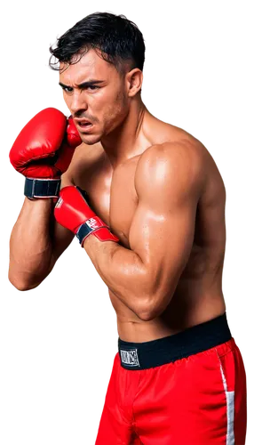 Male boxer, muscular arms, intense facial expression, sweat dripping down face, boxing gloves, red boxing shorts, championship belt, focused eyes, clenched teeth, throwing punches, dynamic pose, arena